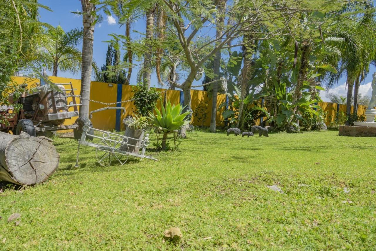 Hotel & Bungalows Las Palmas Villa Corona Exterior photo